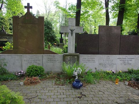 Jan Werner