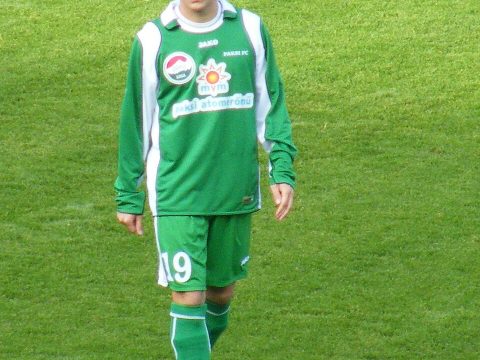 István Mészáros