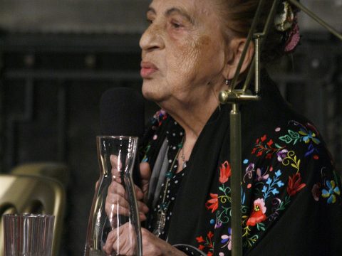 Ceija Stojka
