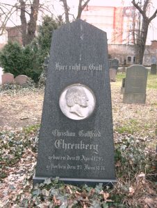 Christian Gottfried Ehrenberg