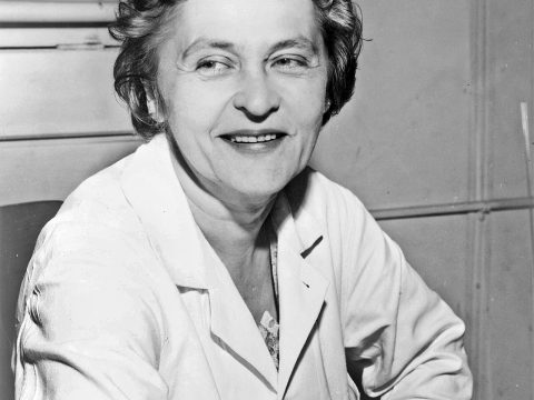 Mária Telkes