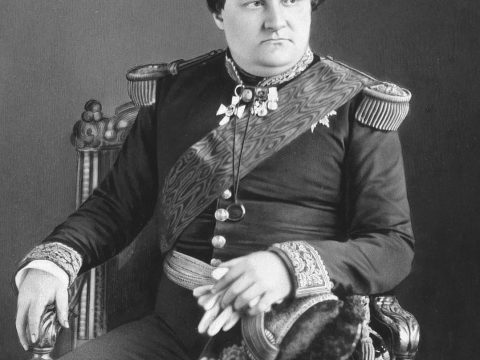 Prince Napoléon-Jérôme, Prince Napoléon