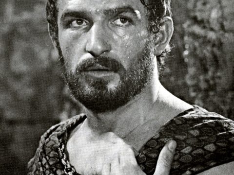 Bekim Fehmiu