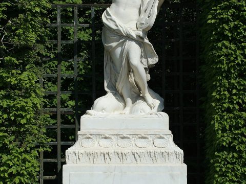 Arion
