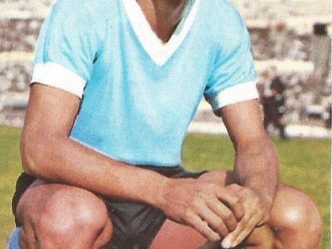 Pedro Rocha