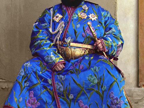 Mohammed Alim Khan