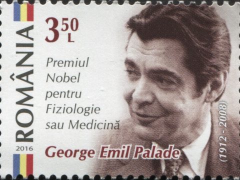 George Emil Palade