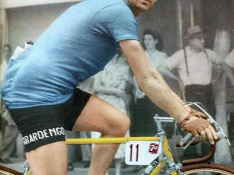 Rik Van Steenbergen