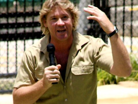 Steve Irwin