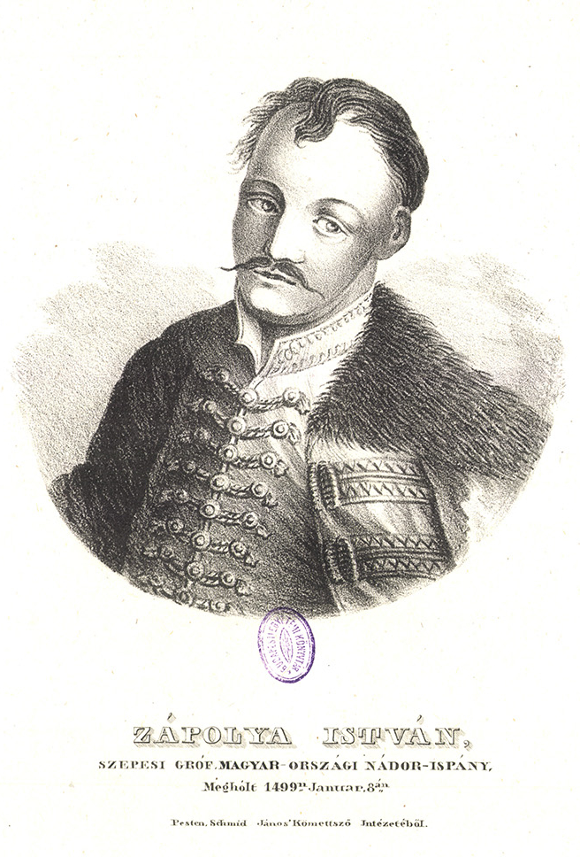 Stephen Zápolya
