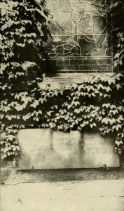 Peter Stuyvesant