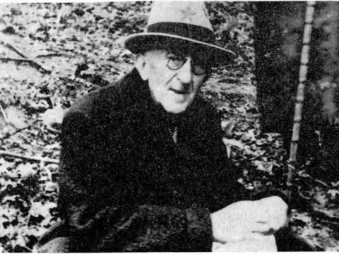 Vladimir Nazor